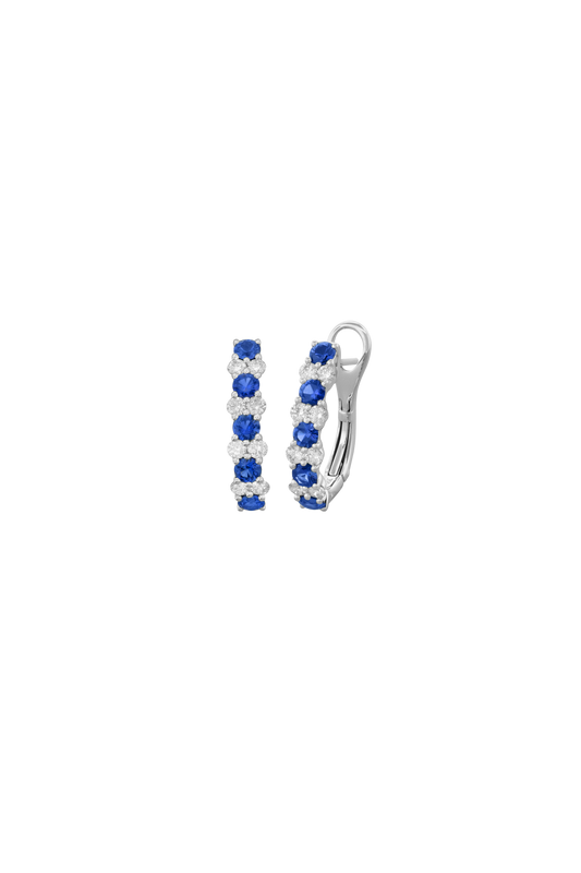 Colored Stone Earring