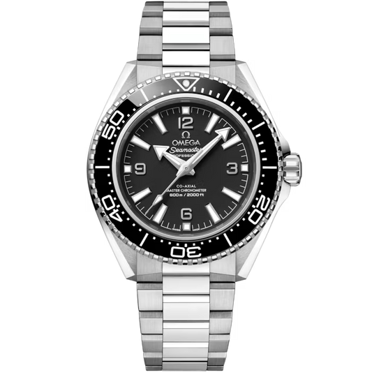Omega Seamaster Planet Ocean 600M 42 mm, steel on steel 217.30.42.21.01.001