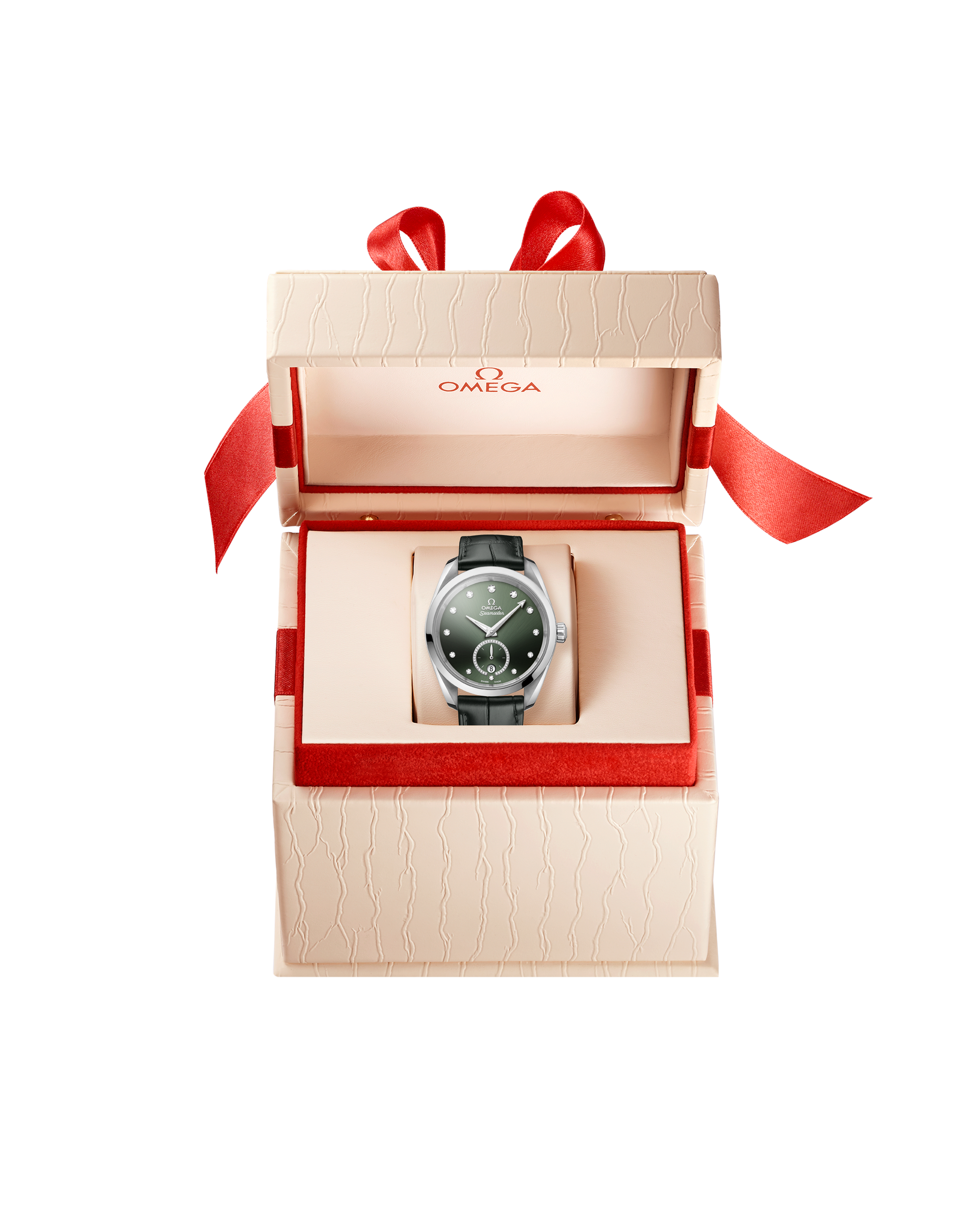 Omega Seamaster Aqua Terra 150M Self Winding Watch 22013382060001