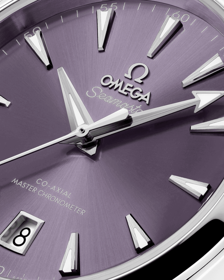 Omega Seamaster Aqua Terra Shades 38 mm, Steel on Steel Self Winding Watch 22010382010004