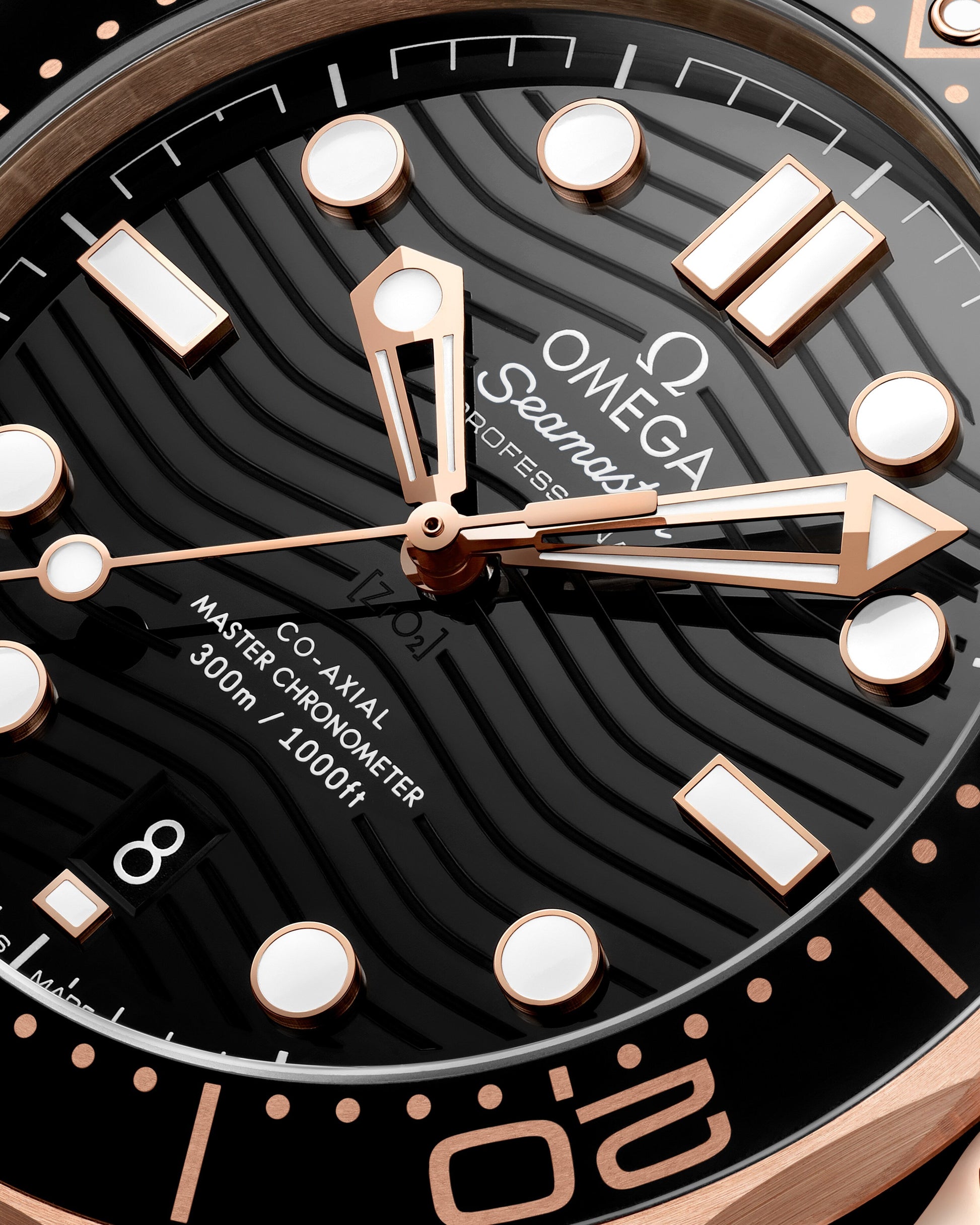 Omega Seamaster Diver 300M Self Winding Watch 21062422001002