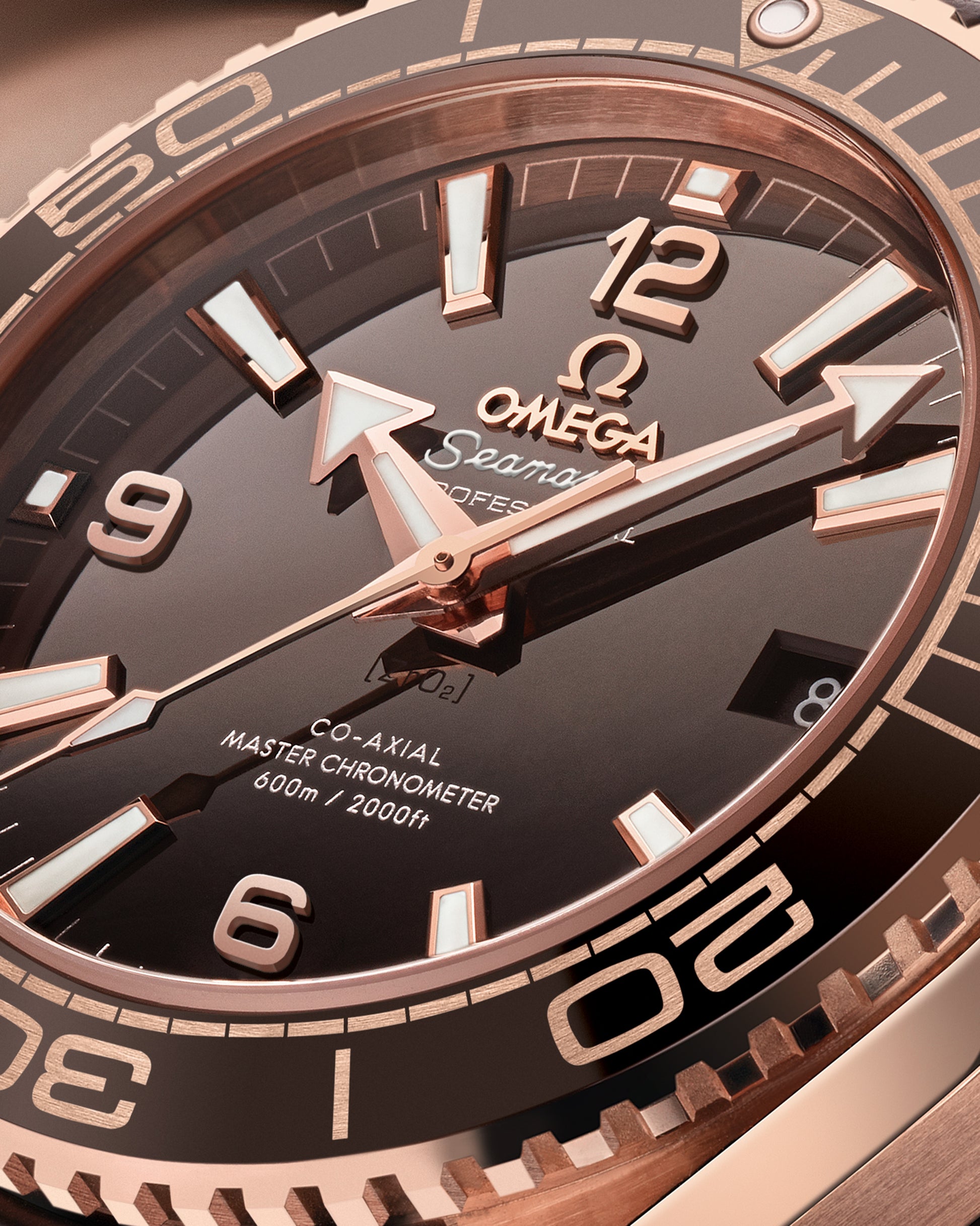 Omega Seamaster Planet Ocean 600M Self Winding Watch 215.63.40.20.13.001